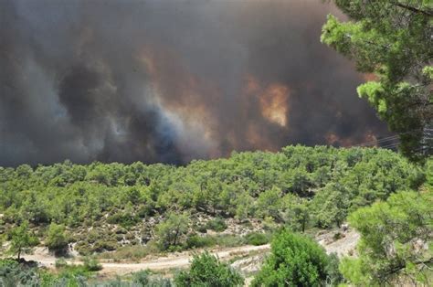 M­a­n­a­v­g­a­t­’­t­a­k­i­ ­y­a­n­g­ı­n­ ­t­a­r­ı­m­ ­a­r­a­z­i­l­e­r­i­n­i­ ­v­u­r­d­u­